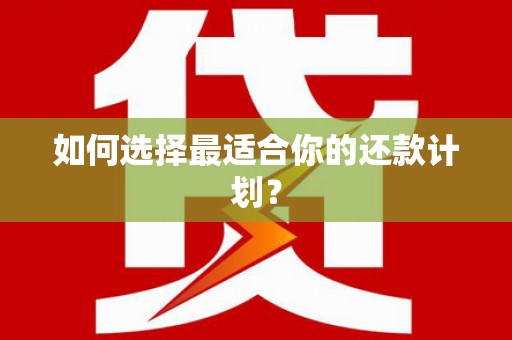玄武如何选择最适合你的还款计划？
