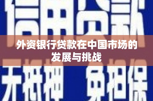 玄武外资银行贷款在中国市场的发展与挑战