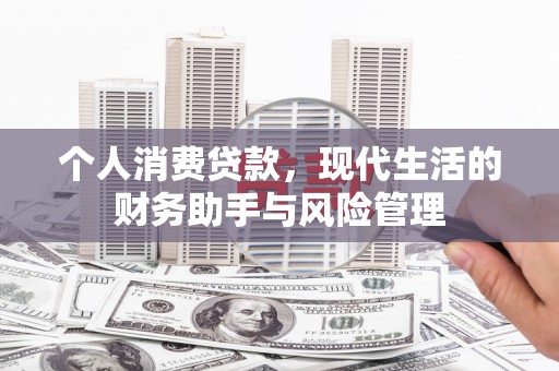 玄武个人消费贷款，现代生活的财务助手与风险管理