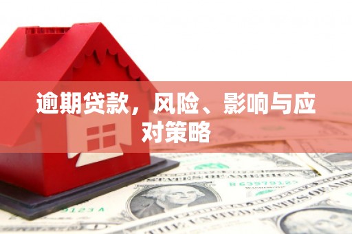 玄武逾期贷款，风险、影响与应对策略