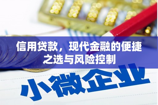 玄武信用贷款，现代金融的便捷之选与风险控制