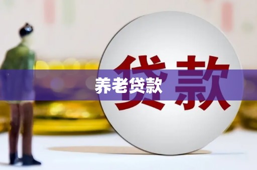 玄武养老贷款