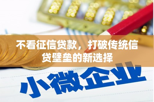 玄武不看征信贷款，打破传统信贷壁垒的新选择