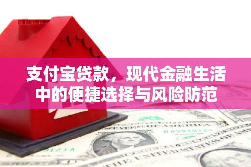 玄武支付宝贷款，现代金融生活中的便捷选择与风险防范