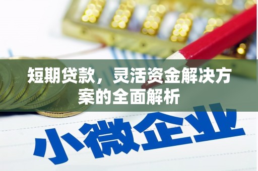玄武短期贷款，灵活资金解决方案的全面解析