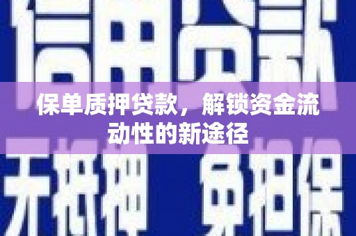 玄武保单质押贷款，解锁资金流动性的新途径