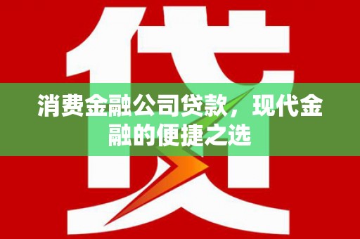 玄武消费金融公司贷款，现代金融的便捷之选
