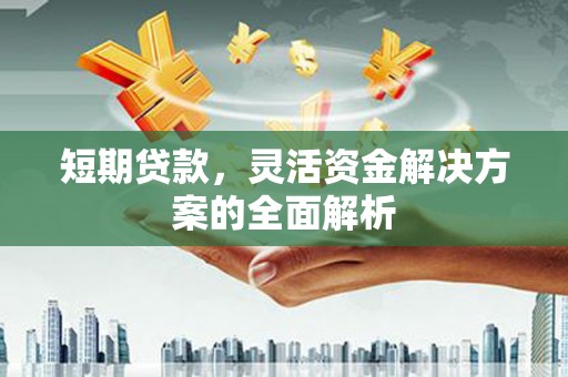 玄武短期贷款，灵活资金解决方案的全面解析