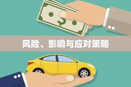 玄武风险、影响与应对策略