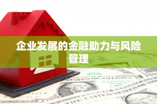 玄武企业发展的金融助力与风险管理
