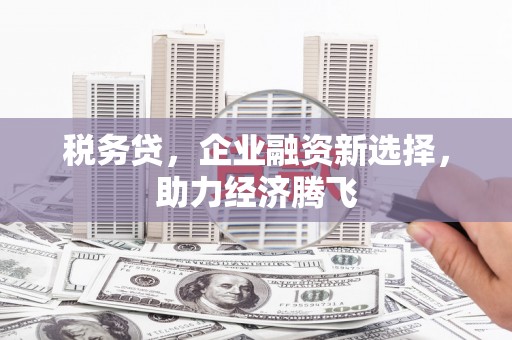 玄武税务贷，企业融资新选择，助力经济腾飞