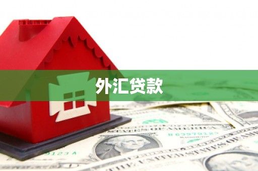 玄武外汇贷款