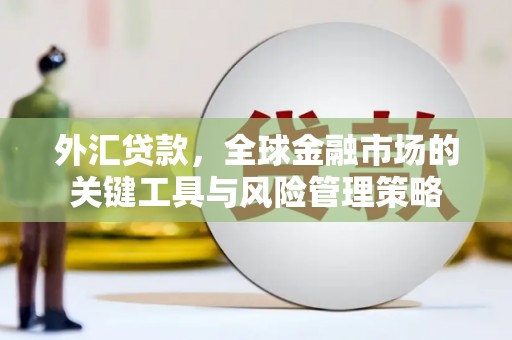 玄武外汇贷款，全球金融市场的关键工具与风险管理策略