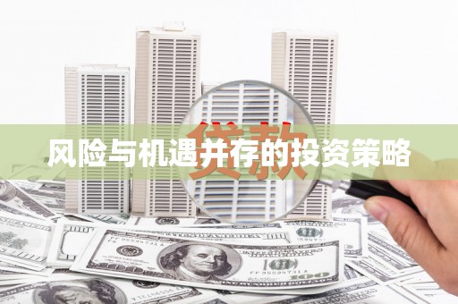 玄武风险与机遇并存的投资策略