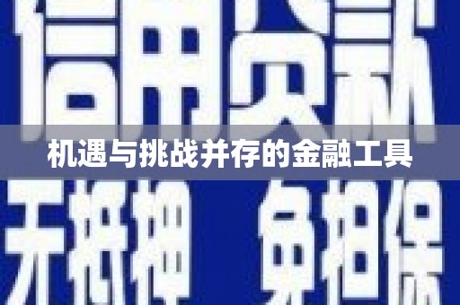 玄武机遇与挑战并存的金融工具