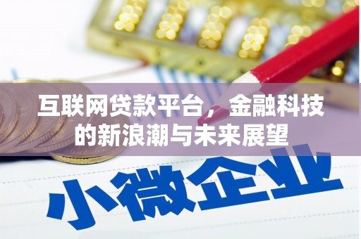 玄武互联网贷款平台，金融科技的新浪潮与未来展望