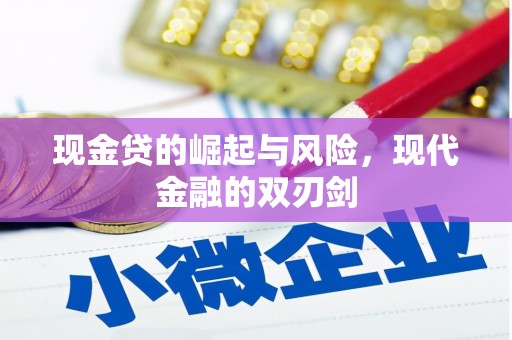 玄武现金贷的崛起与风险，现代金融的双刃剑