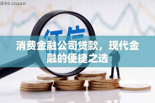 玄武消费金融公司贷款，现代金融的便捷之选