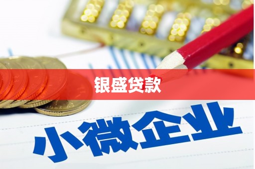 玄武银盛贷款