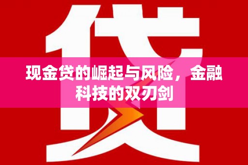 玄武现金贷的崛起与风险，金融科技的双刃剑