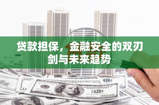 玄武贷款担保，金融安全的双刃剑与未来趋势