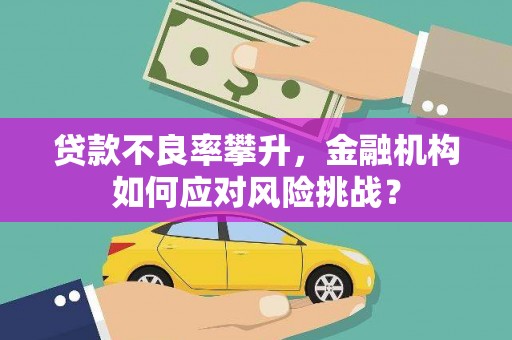 玄武贷款不良率攀升，金融机构如何应对风险挑战？