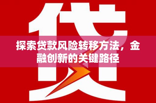 玄武探索贷款风险转移方法，金融创新的关键路径