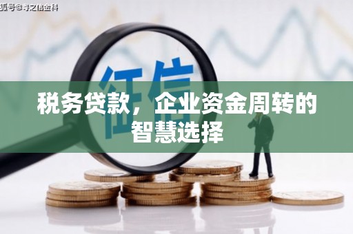 玄武税务贷款，企业资金周转的智慧选择