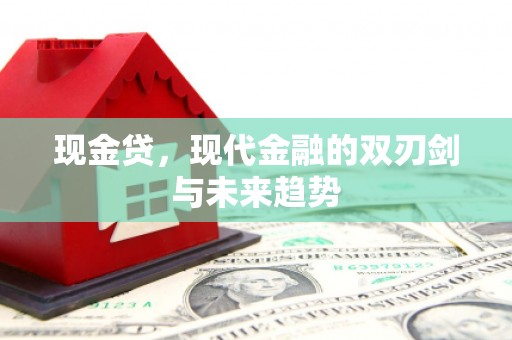 玄武现金贷，现代金融的双刃剑与未来趋势