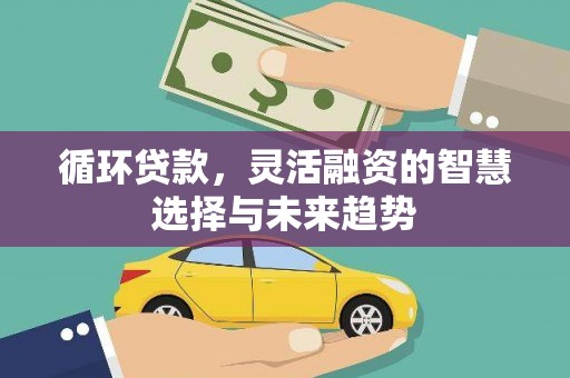 玄武循环贷款，灵活融资的智慧选择与未来趋势