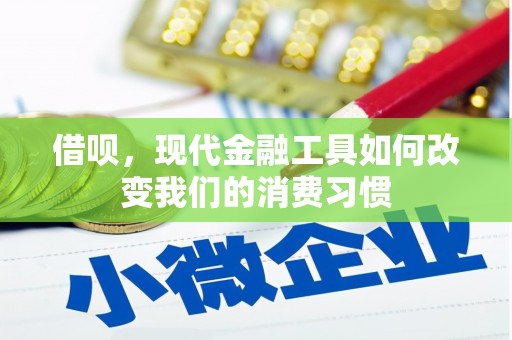 玄武借呗，现代金融工具如何改变我们的消费习惯