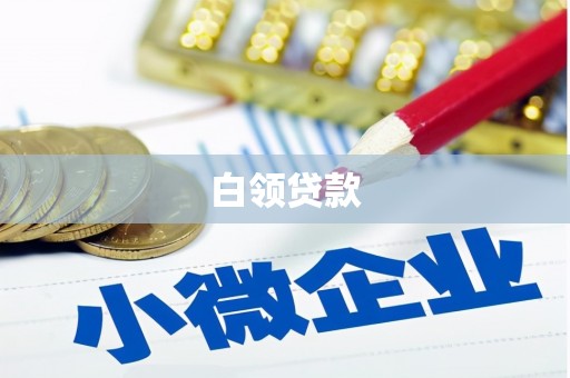 玄武白领贷款