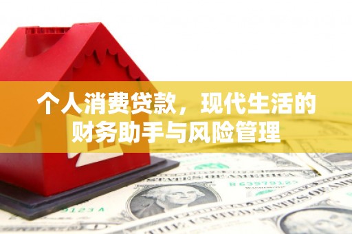 玄武个人消费贷款，现代生活的财务助手与风险管理
