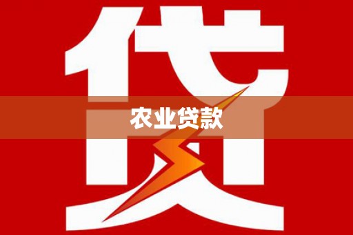 玄武农业贷款