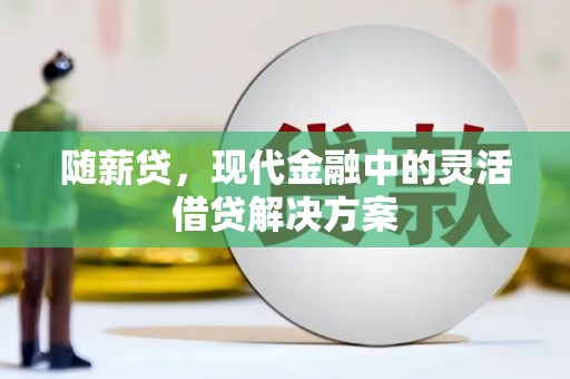 玄武随薪贷，现代金融中的灵活借贷解决方案