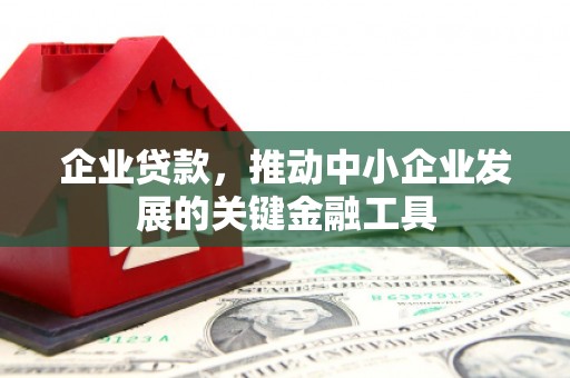 玄武企业贷款，推动中小企业发展的关键金融工具