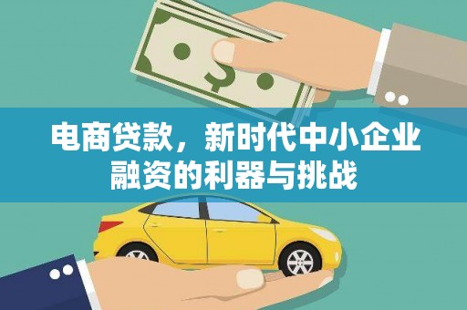 玄武电商贷款，新时代中小企业融资的利器与挑战