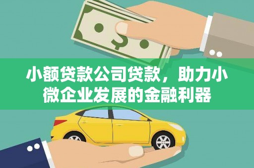 玄武小额贷款公司贷款，助力小微企业发展的金融利器