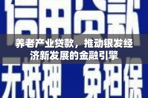 玄武养老产业贷款，推动银发经济新发展的金融引擎