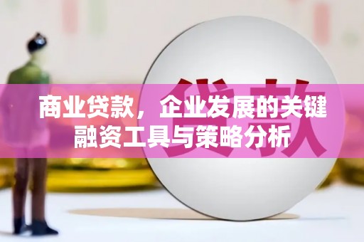 玄武商业贷款，企业发展的关键融资工具与策略分析