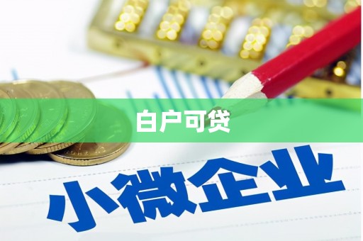 玄武白户可贷