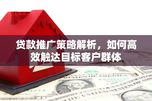 玄武贷款推广策略解析，如何高效触达目标客户群体