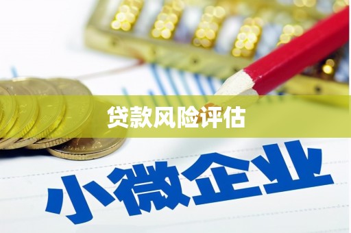 玄武贷款风险评估