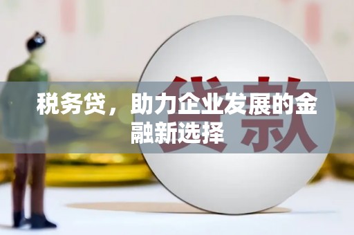 玄武税务贷，助力企业发展的金融新选择