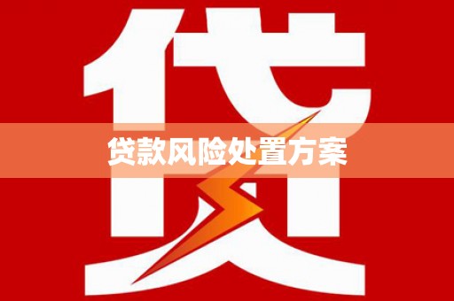 玄武贷款风险处置方案
