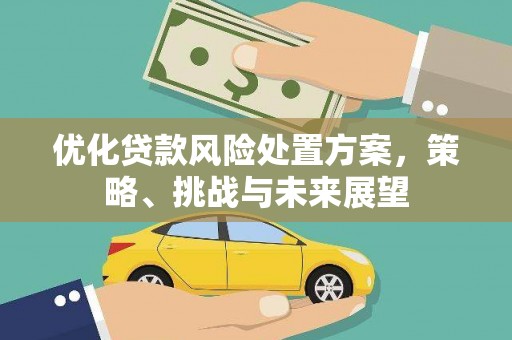 玄武优化贷款风险处置方案，策略、挑战与未来展望