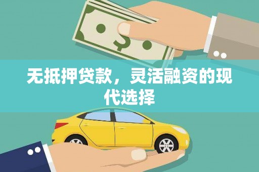 玄武无抵押贷款，灵活融资的现代选择