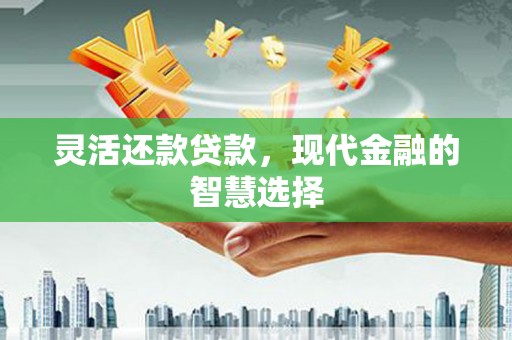 玄武灵活还款贷款，现代金融的智慧选择