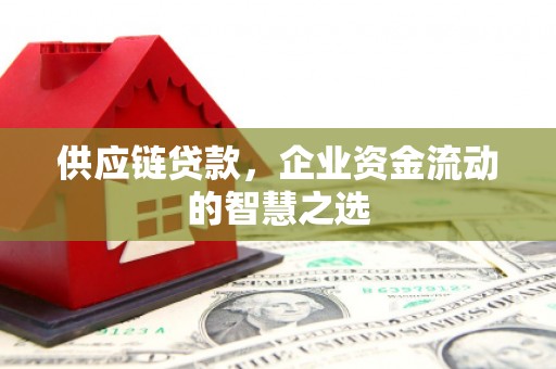 玄武供应链贷款，企业资金流动的智慧之选