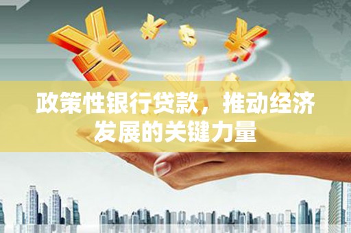 玄武政策性银行贷款，推动经济发展的关键力量